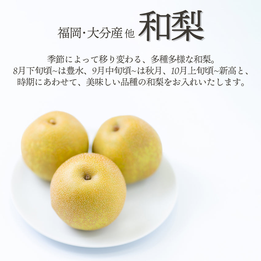 【予約商品】旬のフルーツセットA02（シャイン・赤林檎・和梨・柿）