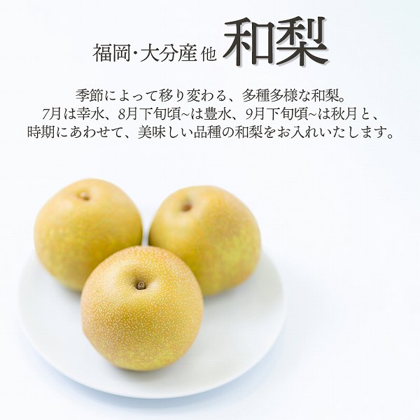 旬のフルーツセットN25（ピオーネ・桃・梨）