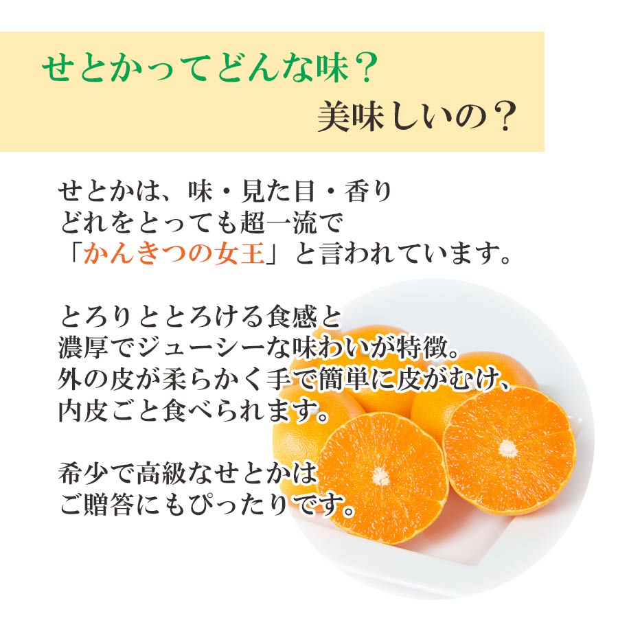 愛媛県八幡浜市産 とろける果肉！かんきつの女王「せとか