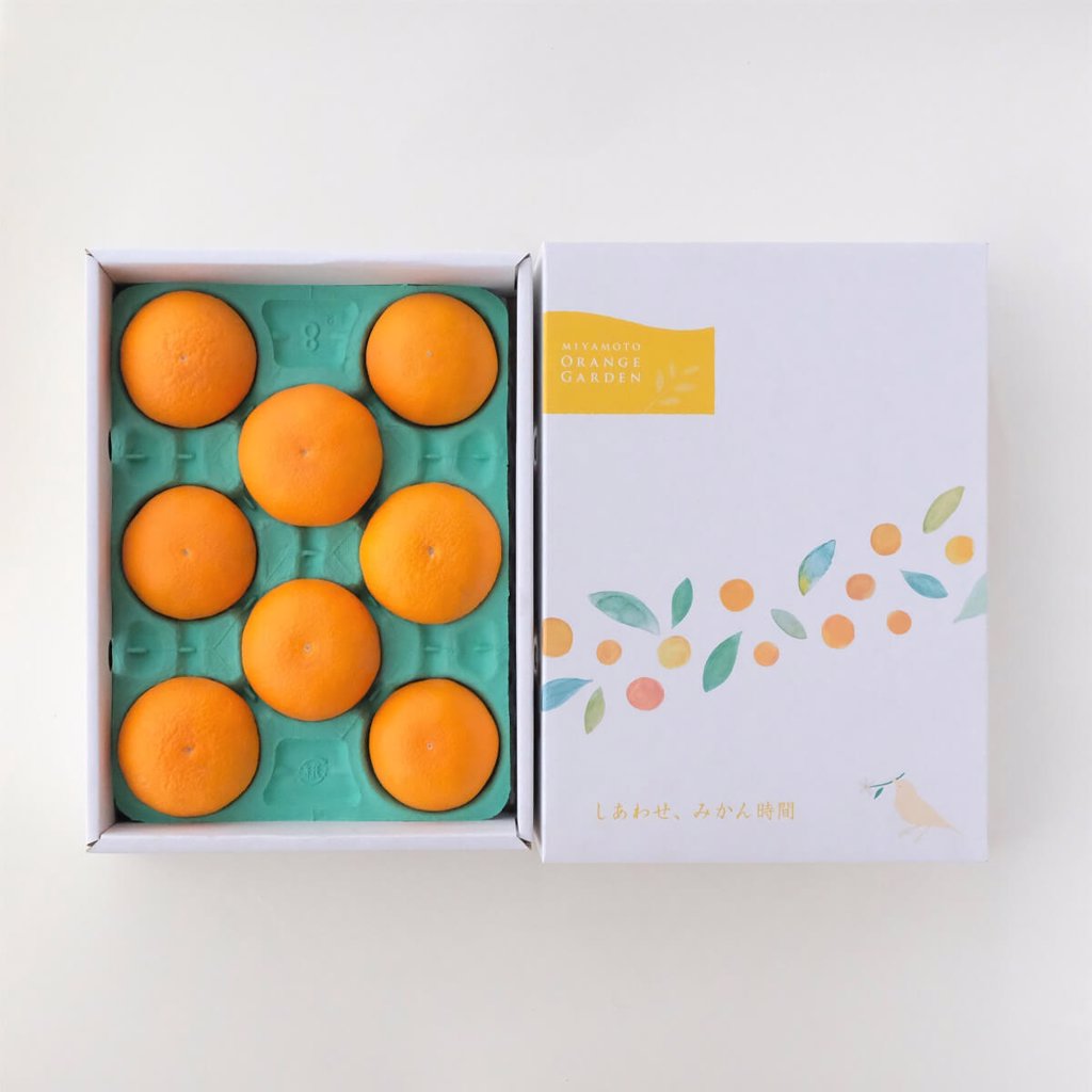 愛媛県限定栽培品種 甘平（かんぺい） 贈答箱入り 6～8個（約2kg