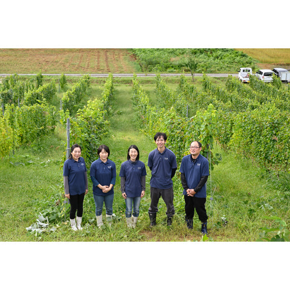 月山山麓　ナイアガラ　白720ml（やや甘口）【酒・ジュース・飲料】