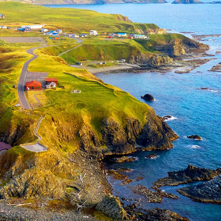 北海道 利尻島産 天然活アワビ 計500g(5個前後入り)【送料無料】