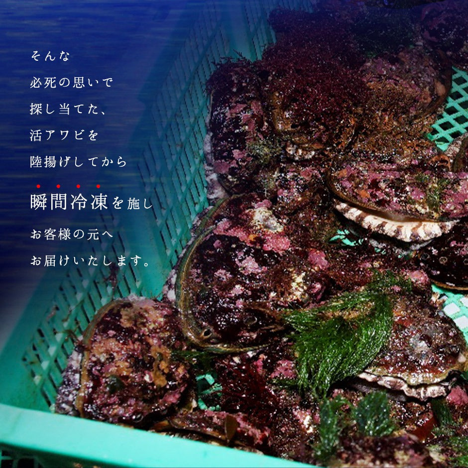 礼文・利尻島産 天然アワビ(凍結)  鮮度そのまま急速冷凍！【送料無料】
