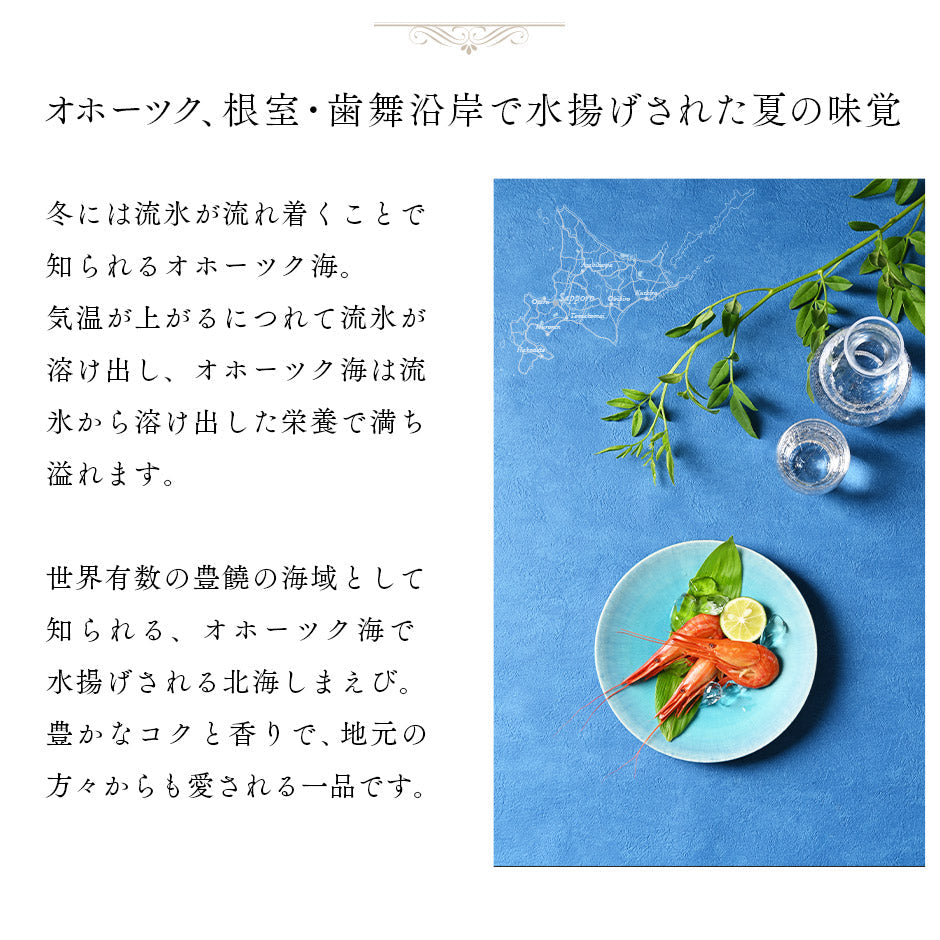 北海道 根室・歯舞産 ホッカイシマエビ 300g 28尾前後