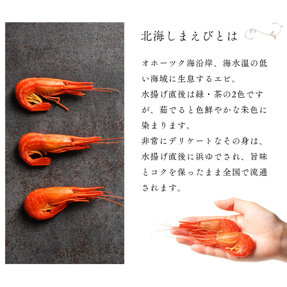北海道 根室・歯舞産 ホッカイシマエビ 300g 28尾前後