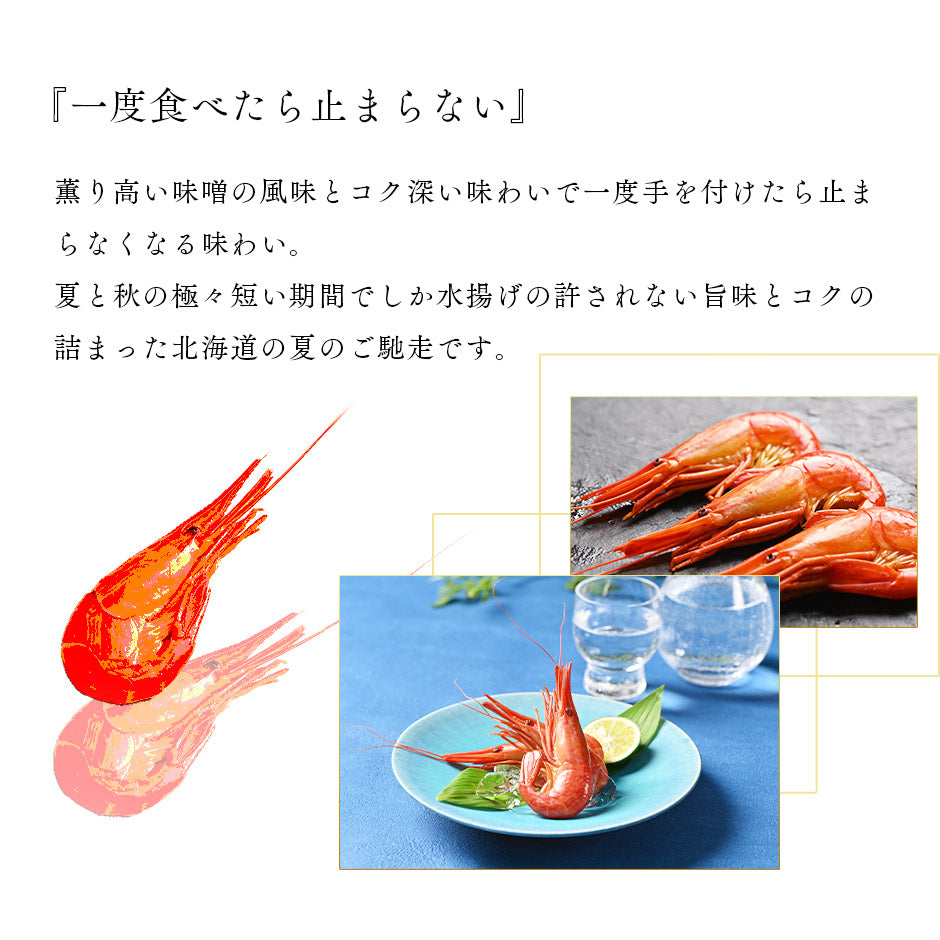 北海道 根室・歯舞産 ホッカイシマエビ 300g 28尾前後