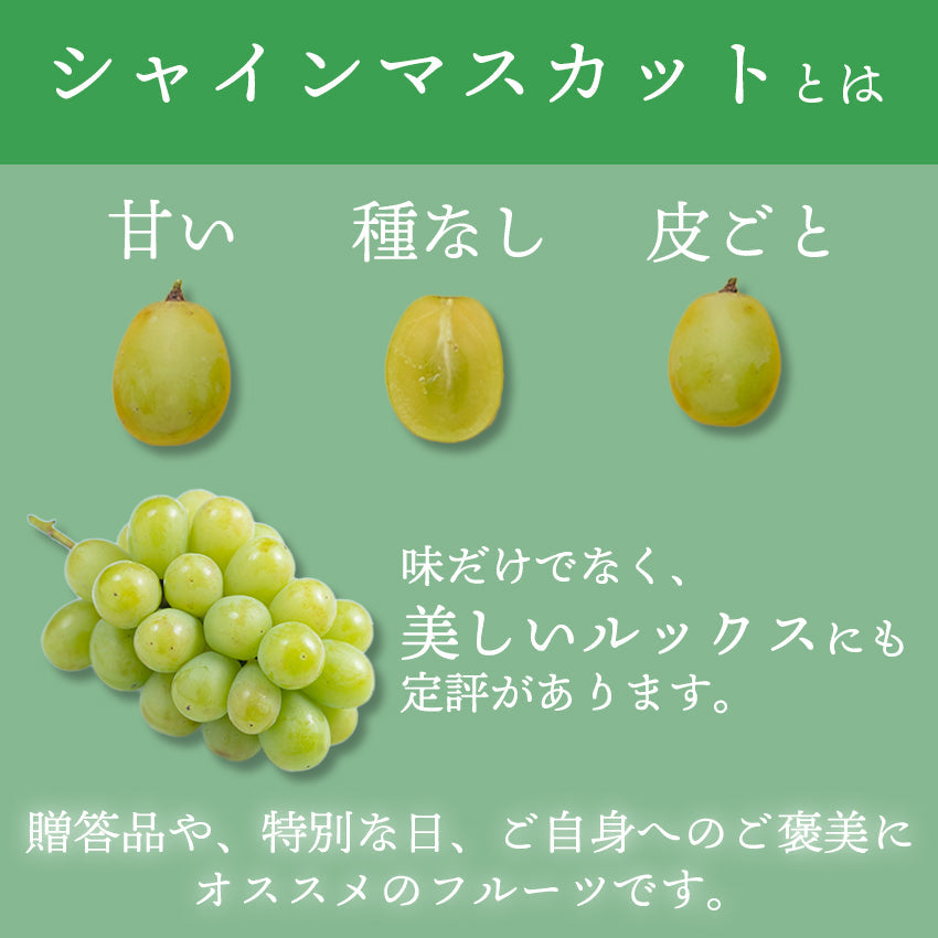 【送料無料】岡山産シャインマスカット