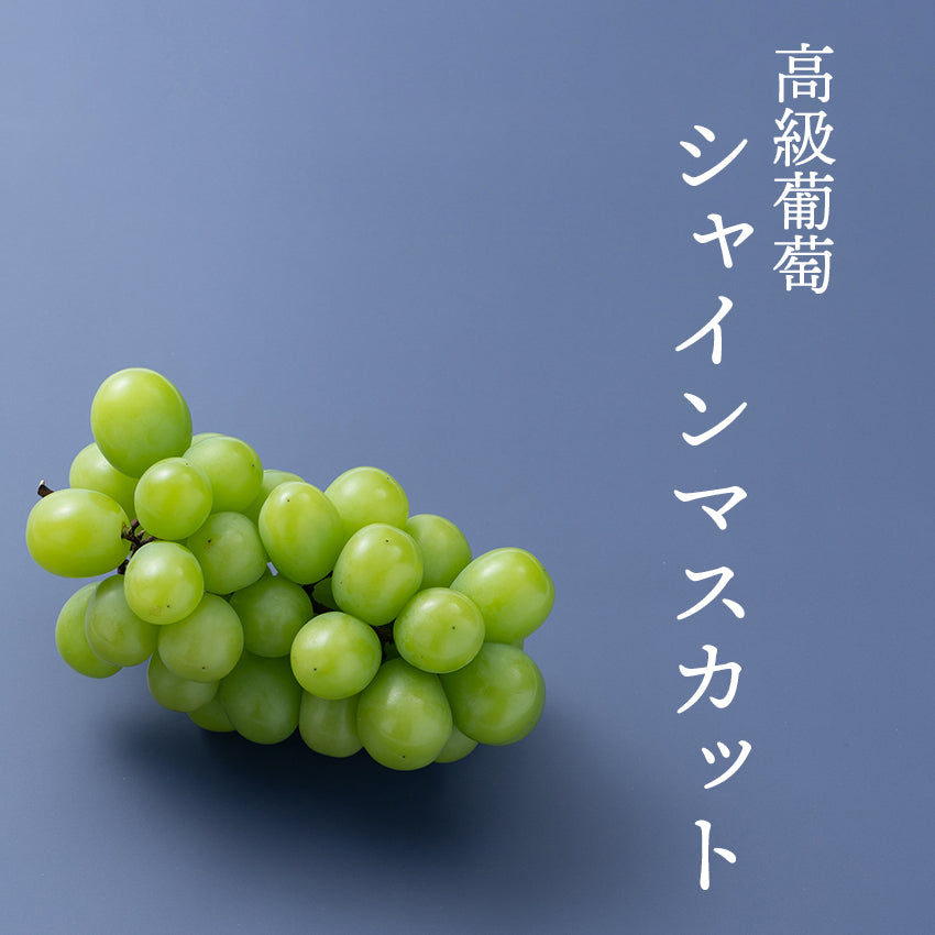 【予約販売】種なし葡萄3種セット