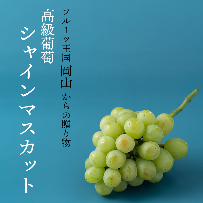 【送料無料】岡山産シャインマスカット