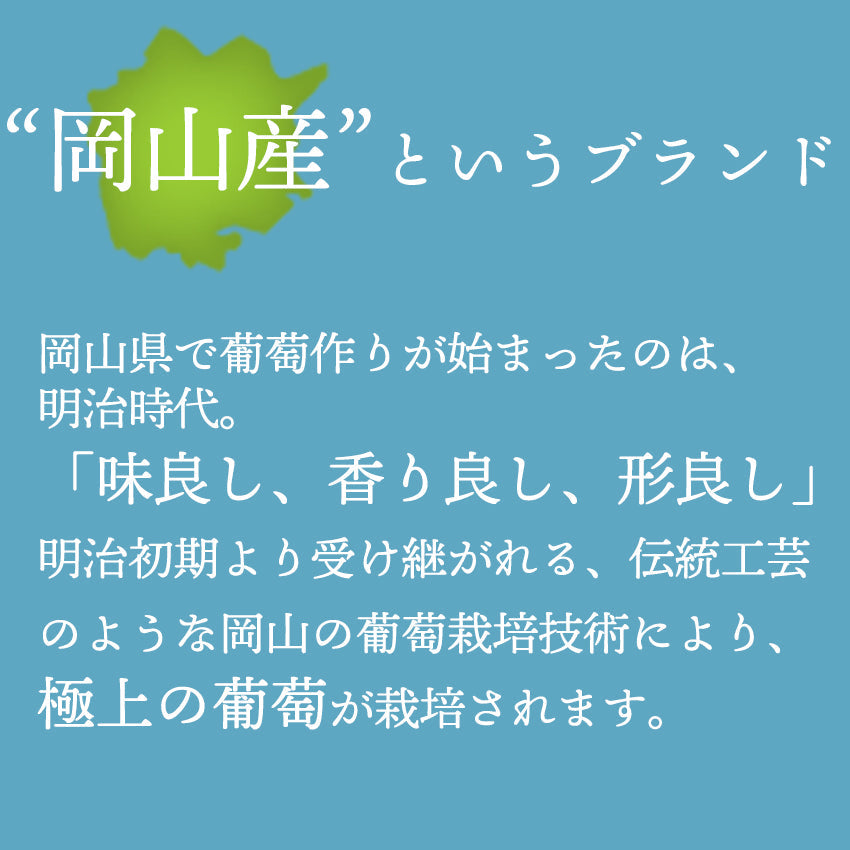 【送料無料】岡山産シャインマスカット