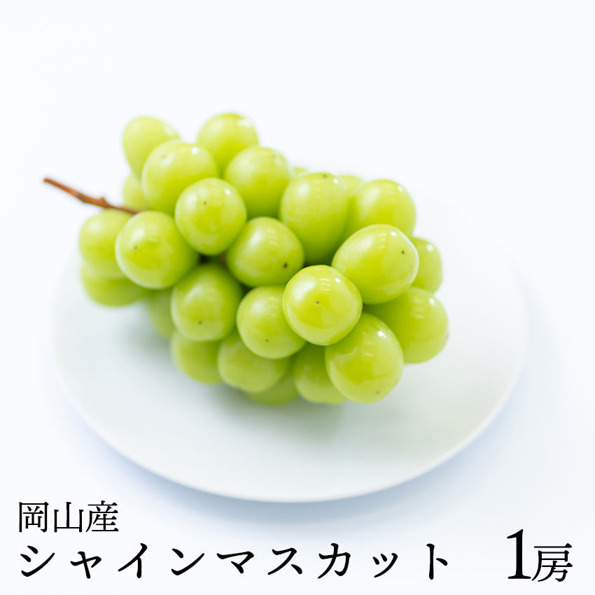 【送料無料】岡山産シャインマスカット