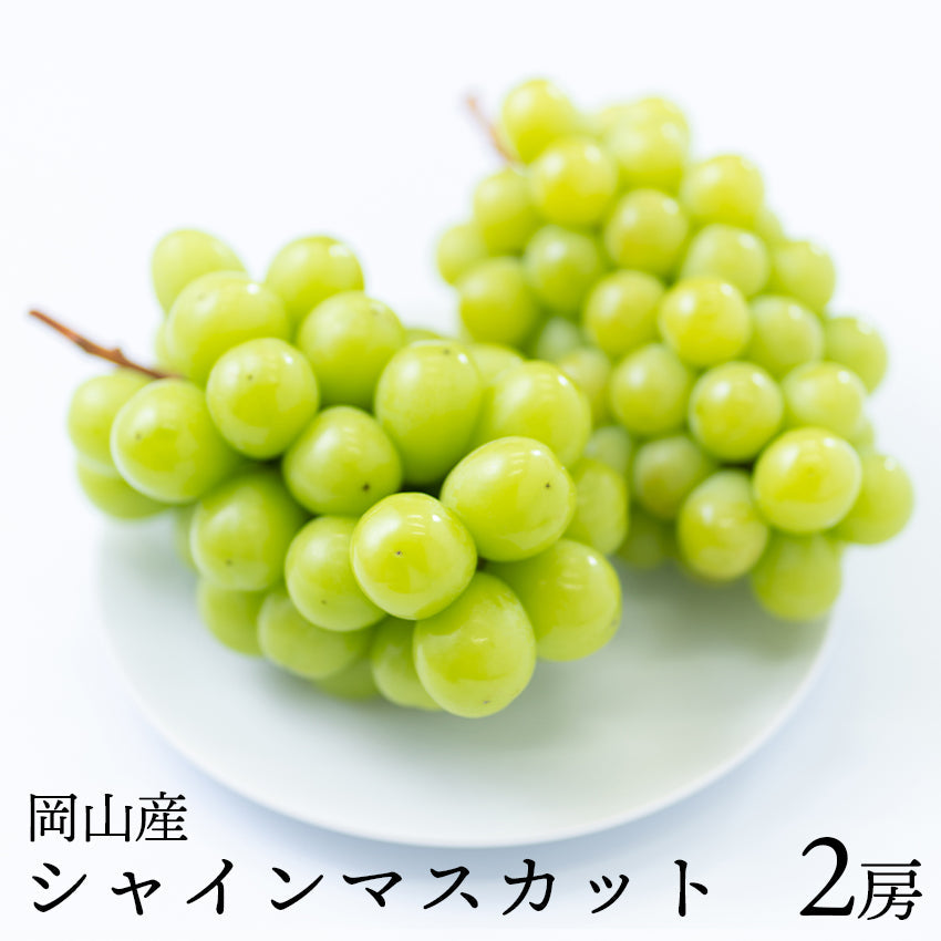 【送料無料】岡山産シャインマスカット