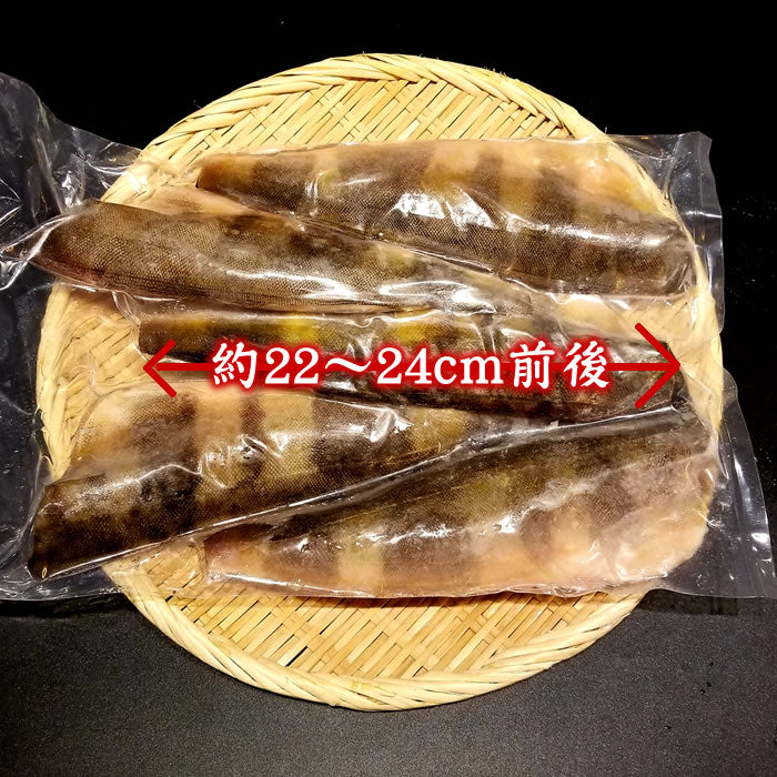【骨取・無塩】シマほっけフィーレ 2ｋｇ 大サイズ 10～14枚　送料無料※沖縄は別途