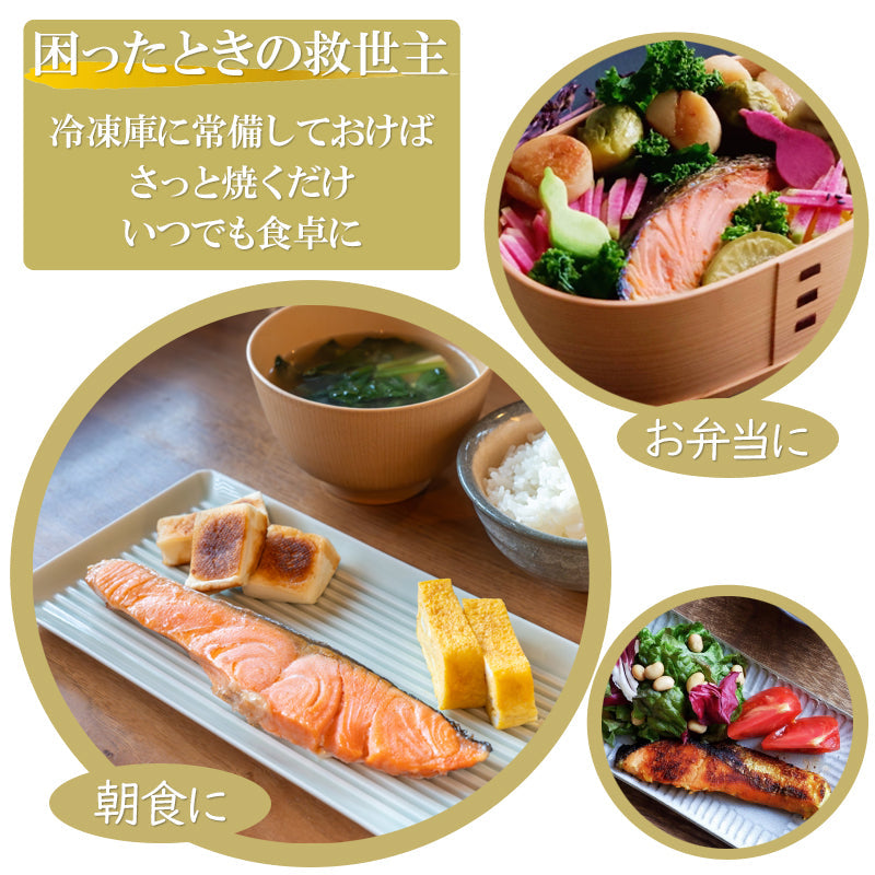 【送料無料】 定塩 銀鮭切身（甘塩）16切入 小分け 真空  銀鮭 ギンザケ 水産加工品 お取り寄せグルメ