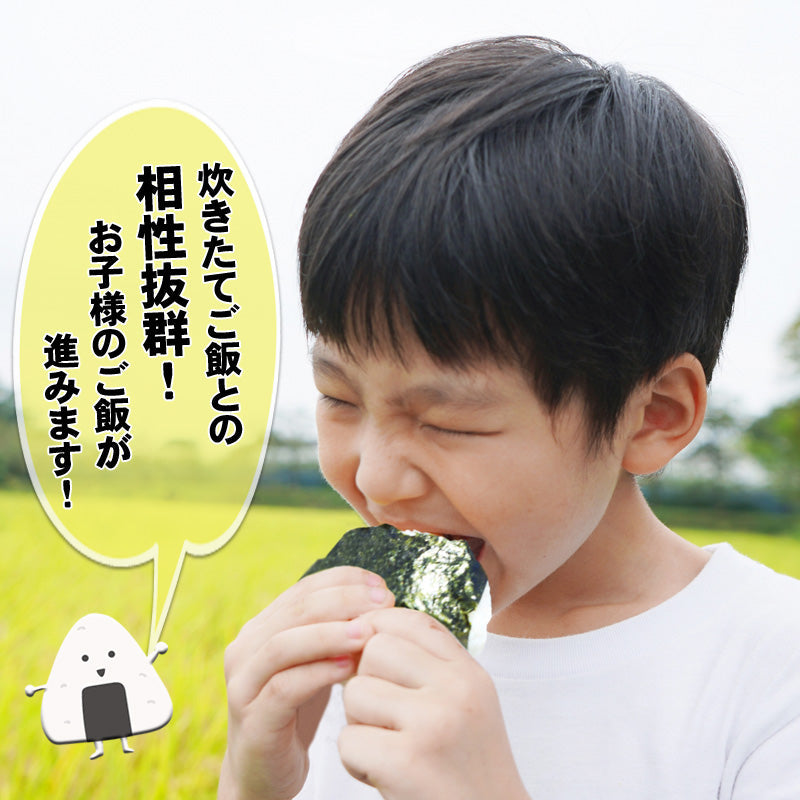 【送料無料】海苔 味付け 塩のり 佐渡の深海塩で味付 1袋18枚入（板のり６枚分）がたっぷり6袋セット おにぎりにちょうどいい！ 子供にも人気の味付け