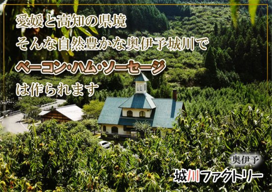 【送料無料】城川自然牧場  ウインナーセット [クール便]