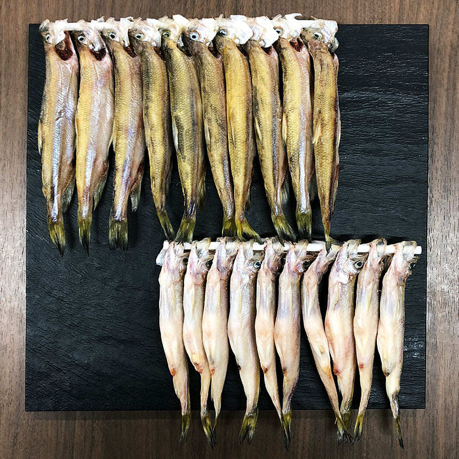 北海道 広尾産 本ししゃも 夫婦セット オス メス食べ比べ (各10尾)