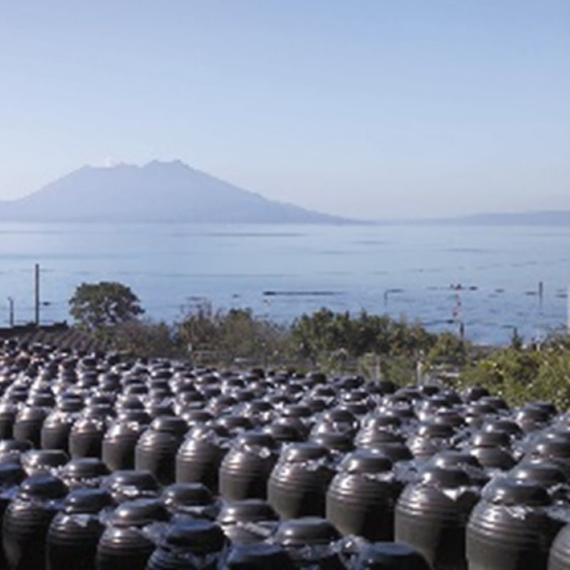 三年熟成有機泉720ml・三年熟成有機黒酢720ml 2本セット 鹿児島県産【送料無料】【産地直送】