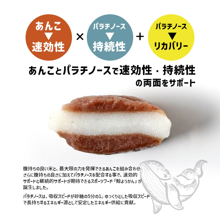 スポーツようかん スポーツ羊羹 鯨ようかん くじらようかん くじら羊羹 鯨羊羹 Carbo 8個入 宮崎 佐土原 お取り寄せ バレンタイン 和菓子 2022 ひとくち羊羹 ミニようかん 一口サイズ おやつ サイクリング 長距離ライド ランニング トレラン マラソン ハンガーノック対策