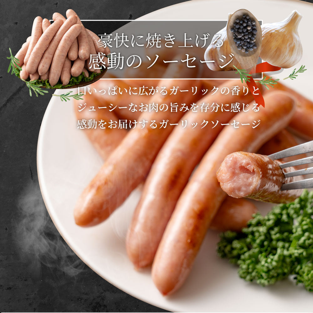 ガーリック薫る ジューシー 粗挽き ウインナー ソーセージ ソーセージ ウインナーソーセージ 詰合せ 詰め合わせ お取り寄せ 御取り寄せ