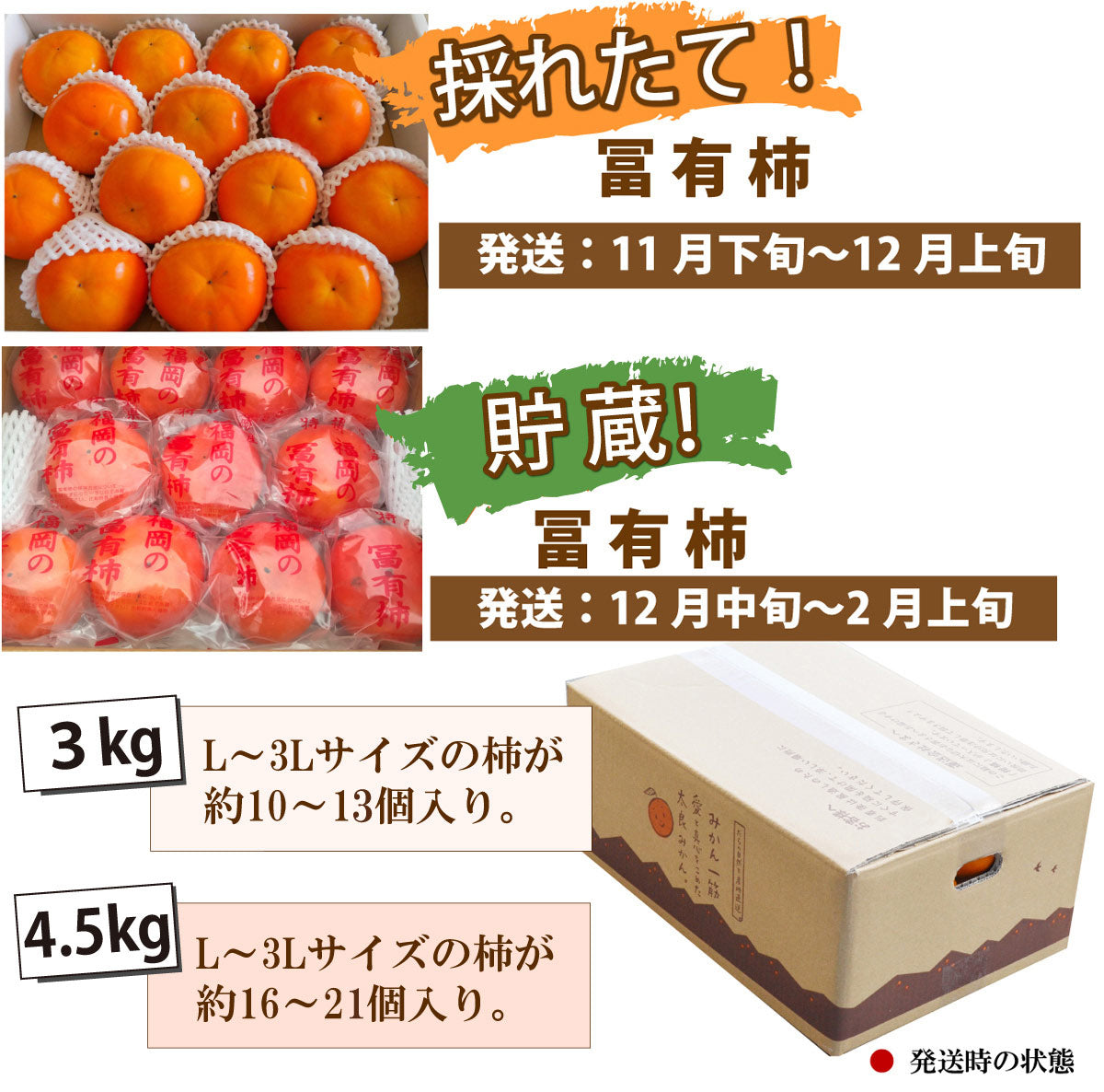 ＜柿の王様＞樹上完熟！★富有柿 ふゆうがき★【採れたて】と【貯蔵】が選べます。【福岡県産】