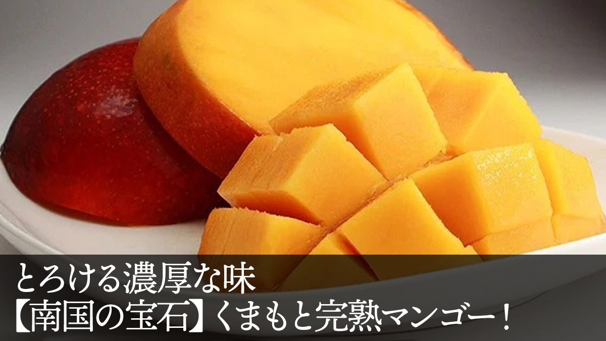 とろける濃厚な味【南国の宝石】くまもと完熟マンゴー！