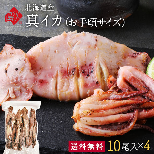 北海道産 真イカ(お手頃サイズ)　10尾入×4セット　※丸ごと（丸魚）【送料無料】