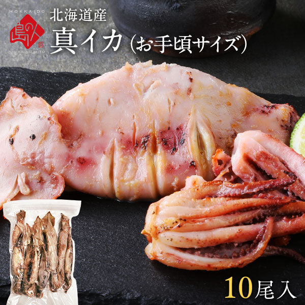 北海道産 真イカ(お手頃サイズ)　10尾入　※丸ごと（丸魚）