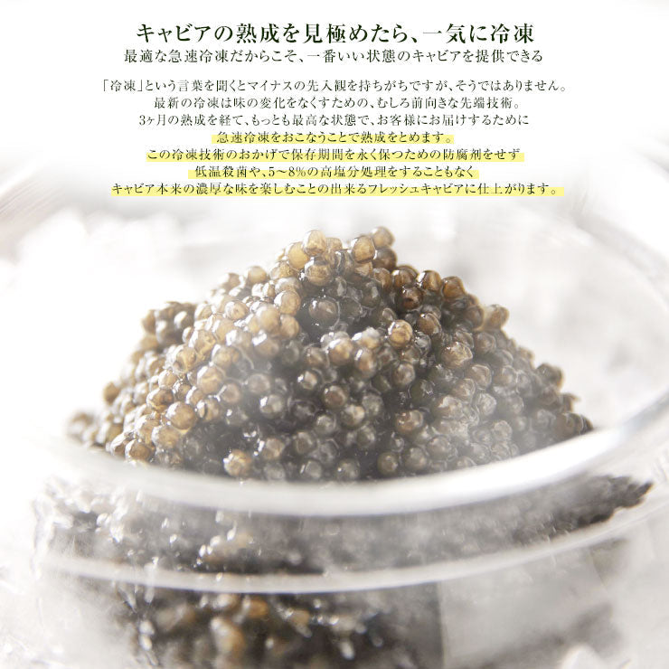 国産キャビア 宮崎県産 お試し フレッシュキャビア 生キャビア 日南キャビア(きゃびあ)  冷凍 チョウザメ 魚卵 塩分濃度3％以下 高級食材 甘味料不使用 防腐剤不使用 非加熱 世界三大珍味 低塩分 泡 食品 20gと100gは贈答用化粧箱入り 贈答 贈り物 高級ギフト 送料無料