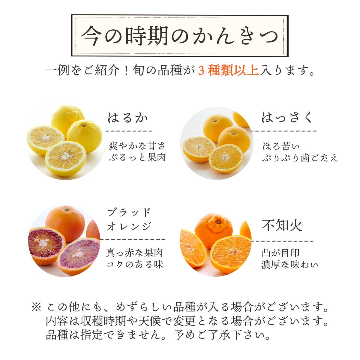 旬のかんきつ 詰め合わせ バラエティセット 3品種以上 合計3kg