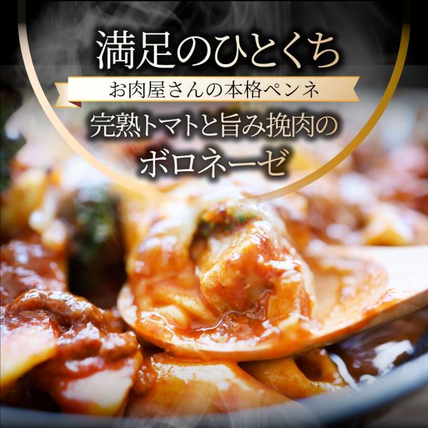 レンジで簡単 シェフの味 ボロネーゼ 冷凍パスタ 電子レンジ パスタ 完熟トマト チキン チーズ パスタ ペンネ 通販 惣菜 業務用 冷食 送料無料
