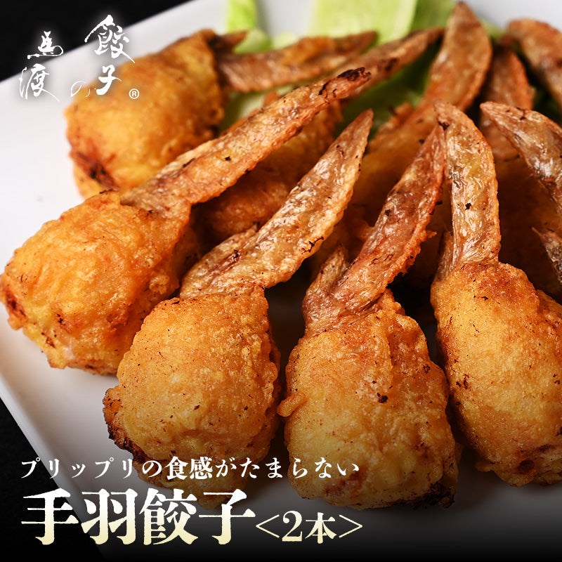 手羽餃子2本　【がむしゃらグルメ 日本一の餃子認定！】