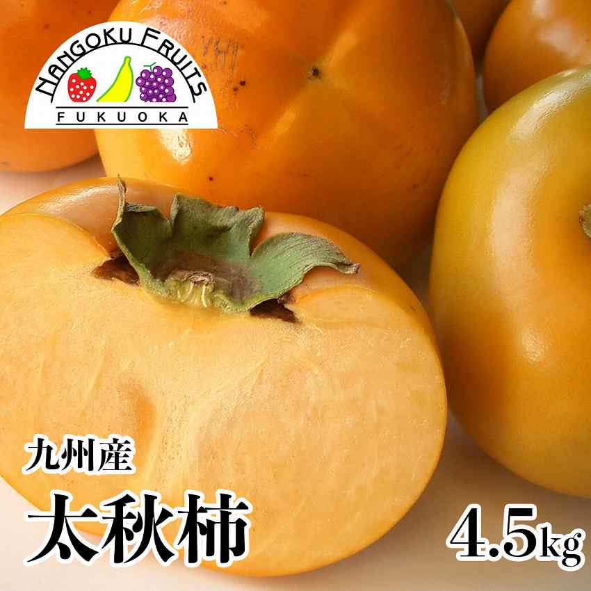 【送料無料】 九州産太秋柿