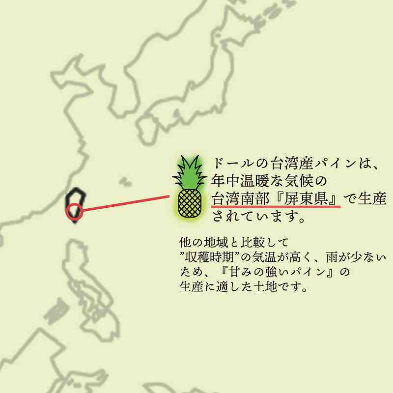 台湾産　台湾パイン