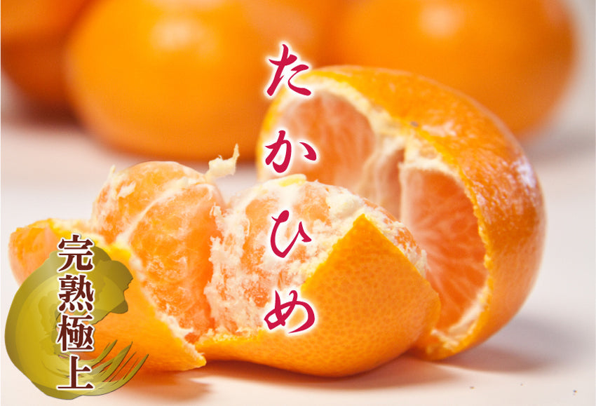 【佐賀県太良産 最高級みかん】たかひめ≪Sサイズ≫