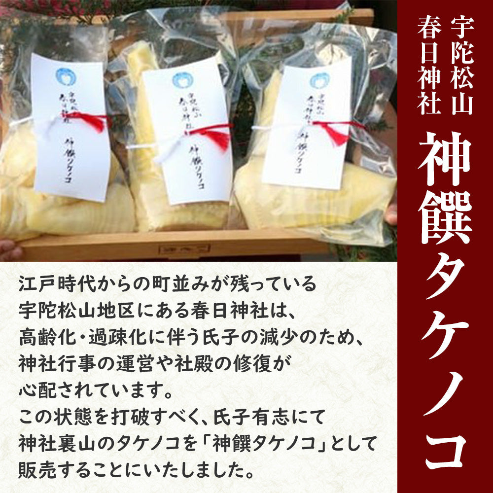 【予約受付】神饌タケノコ 500g　【売上は春日神社に寄進いたします】