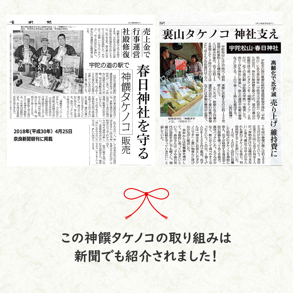 【予約受付】神饌タケノコ 500g　【売上は春日神社に寄進いたします】
