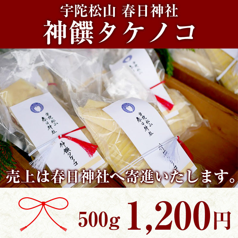 【予約受付】神饌タケノコ 500g　【売上は春日神社に寄進いたします】