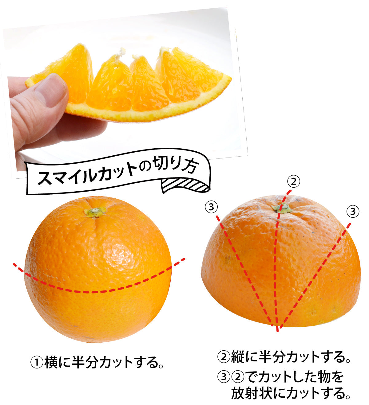 オレンジから生まれました！甘～い☆希少な新品種☆みはや | 47CLUB