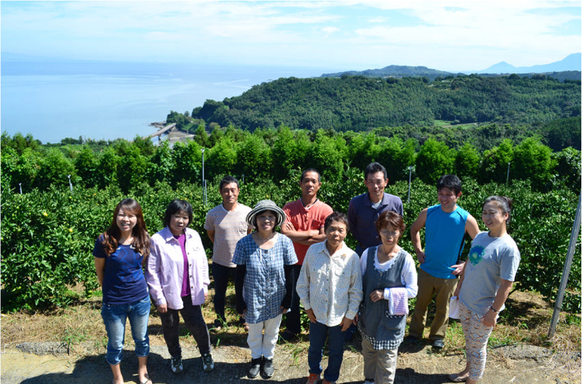 メルマガ限定！★今だけSALE！300kg限定！！★旬の太良みかん（温州みかん）少し緑色が残ります。