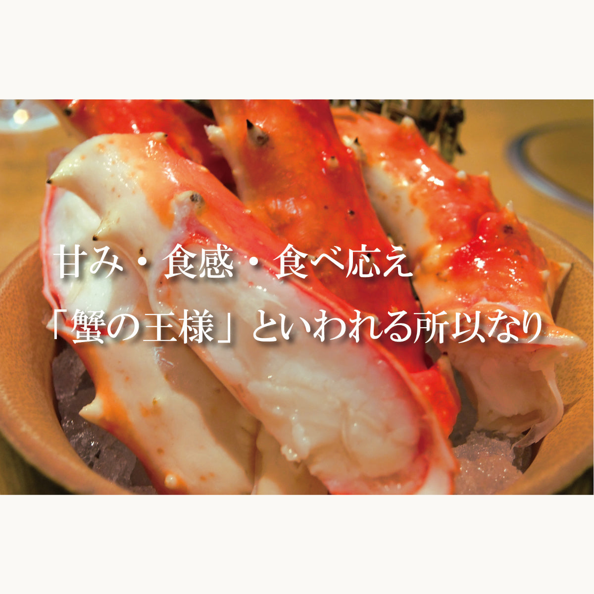 【数量限定】超特大 本タラバボイル脚1.5kg(送料無料※沖縄は別途）