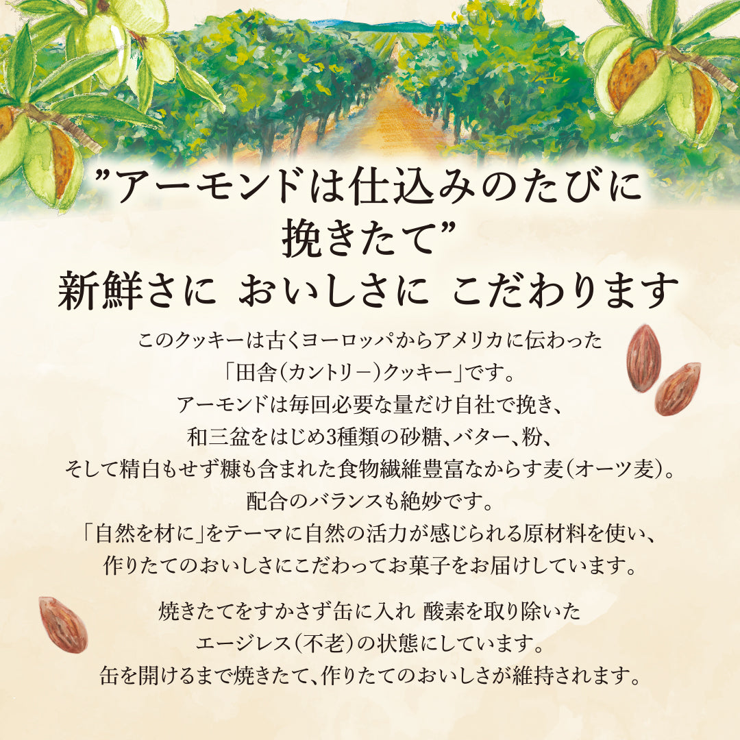 からす麦クッキー３缶入り（からす麦アーモンド缶・五穀缶・おりづる缶）