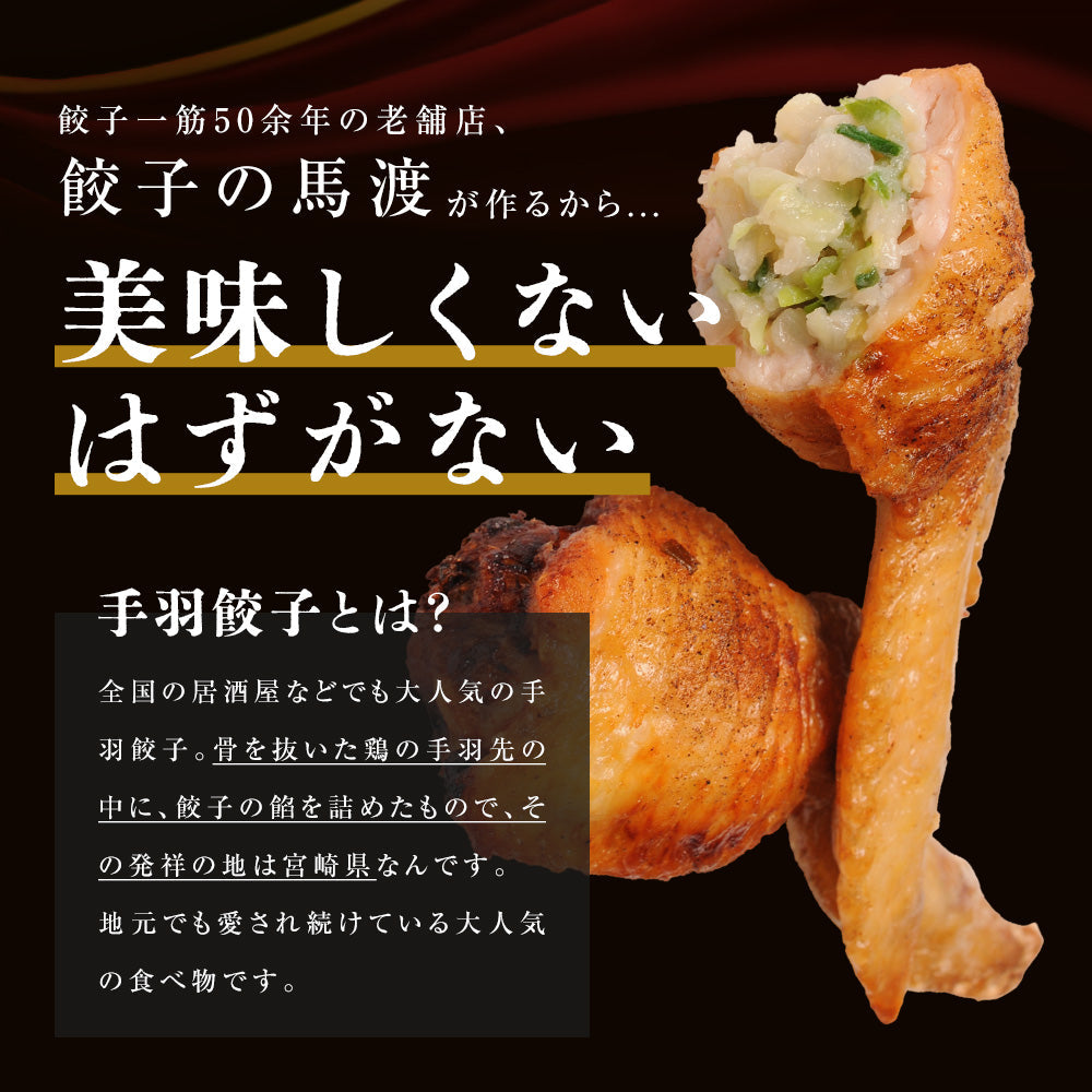 手羽餃子18本　【送料無料】