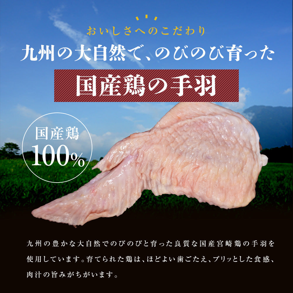 手羽餃子18本　【送料無料】