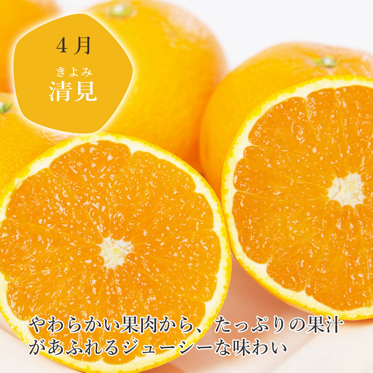 全3回 春のかんきつ定期便 【訳あり】 4月～6月