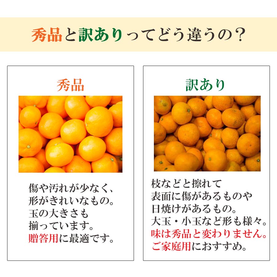 【予約】愛媛みかん 訳あり 小玉 3S～Sサイズ