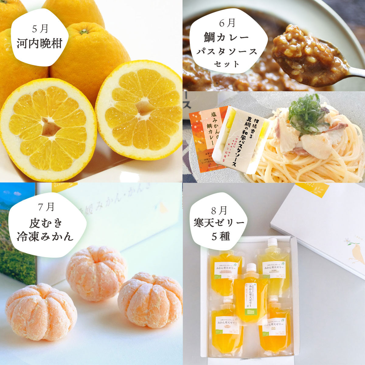 【全12回】少量 食べ切りサイズ！お試しにもおすすめ みかん定期便(秀品) 1～2人向け