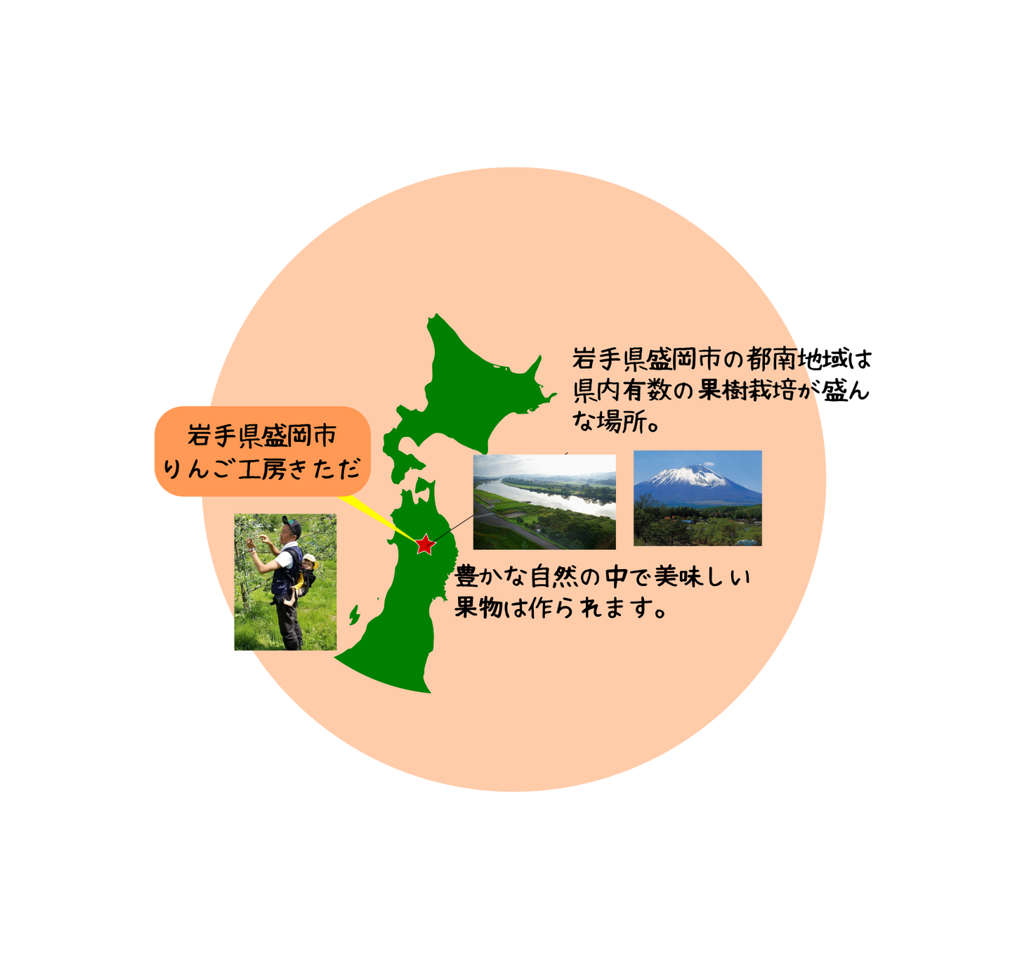 【2025年9月上旬発送開始】【通常便】【クール便発送】爽やか味・ご家庭用つがる3キロ　※沖縄地域・離島エリア以外は送料無料