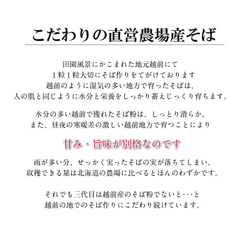 日本ギフト大賞福井賞受賞！越前産そば6食【そば・うどん・麺類】福井県産そば粉 越前そば