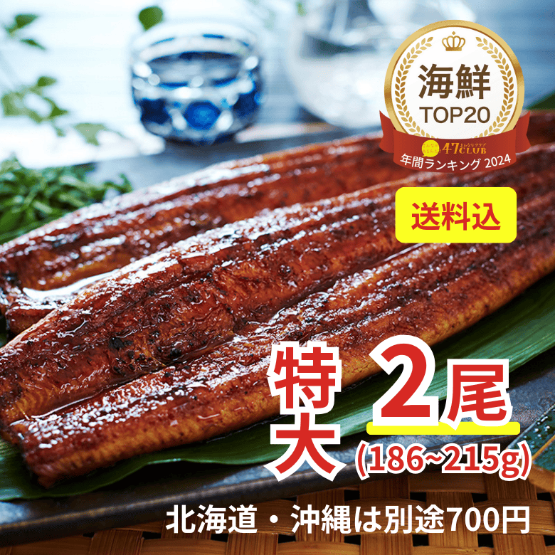 鹿児島県産うなぎ蒲焼　特大２尾（送料込み）